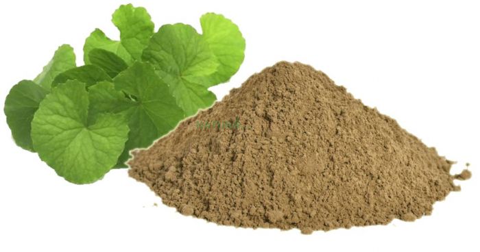 Brahmi Powder (ब्राह्मी पावडर)