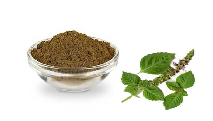 Tulsi Powder (तुळशी / तुलसी पावडर)