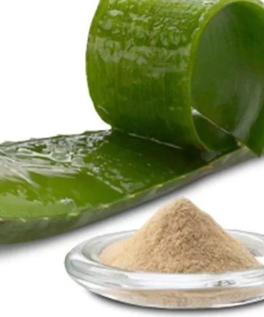 Korphad Powder (कोरफड पावडर)